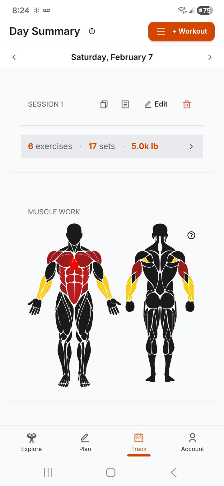 Day summary showing muscle work body map